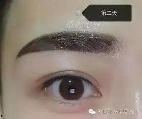 网红纹眉图片大全,从图片大全看流行趋势与审美变迁